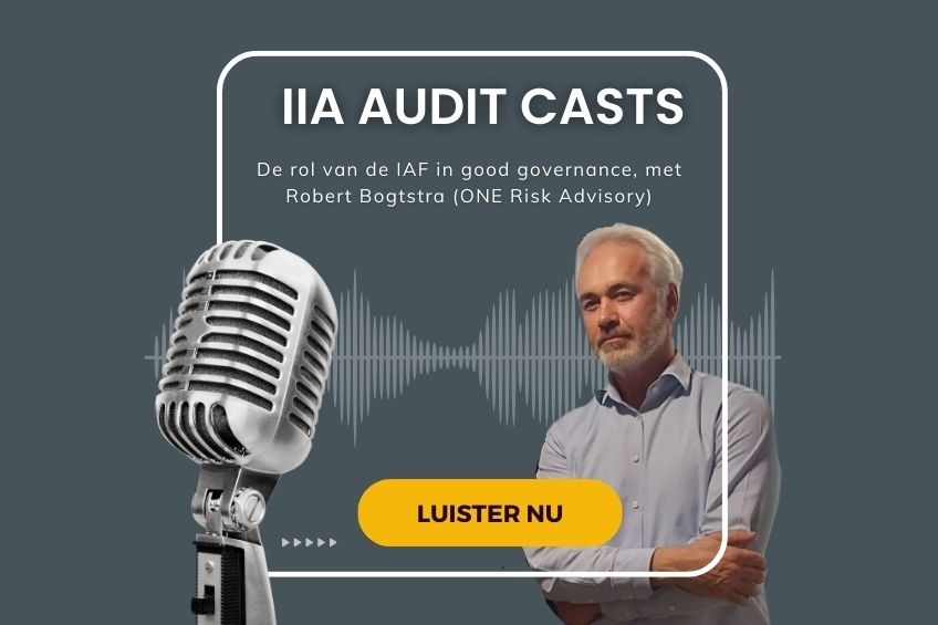 IIA Podcast met Robert Bogtstra
